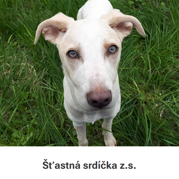 Šťastná srdíčka z.s.