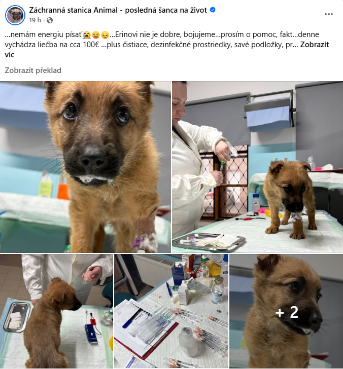 Záchranná stanice animal